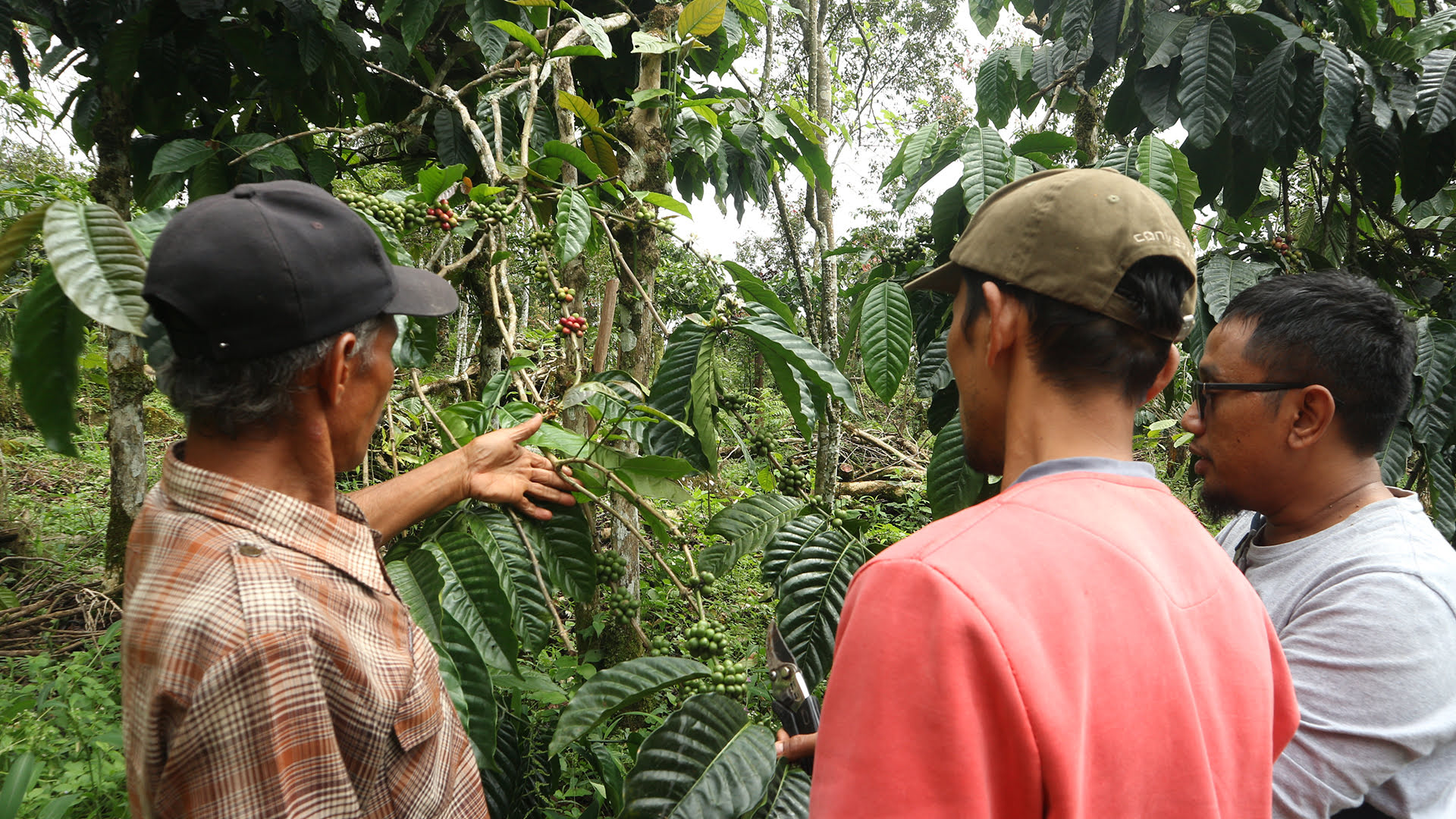 16-9 Fam_0002s_0008_IMG_0071